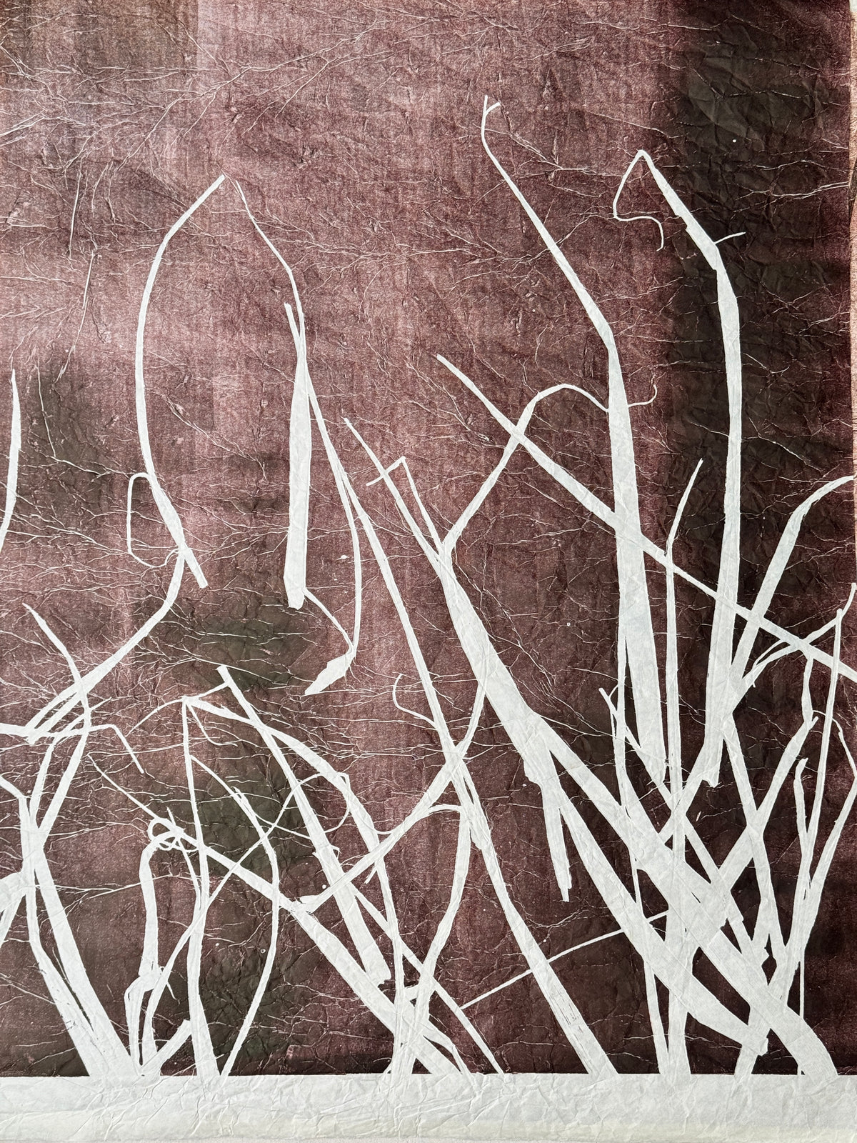 Arundo Donax, Dusk I