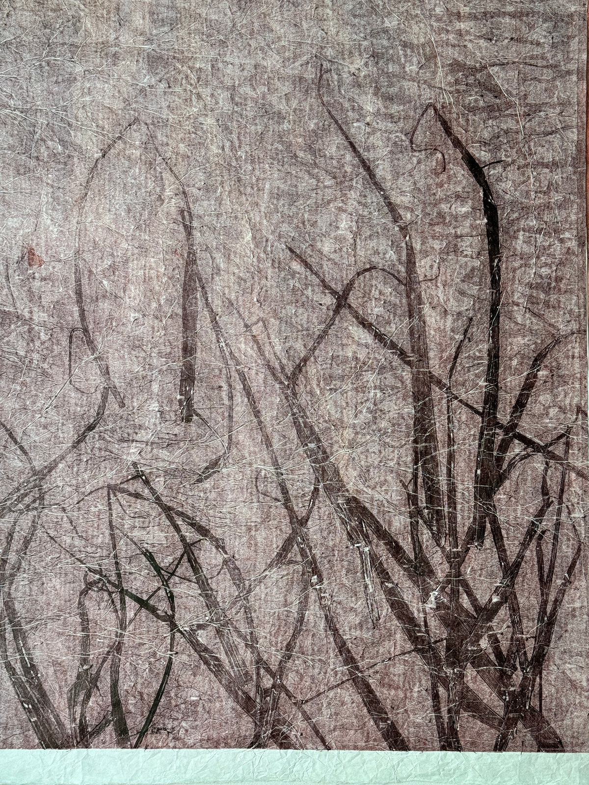 Arundo Donax, Ghost