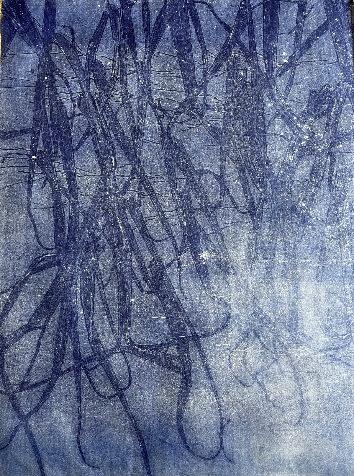 Entangled II