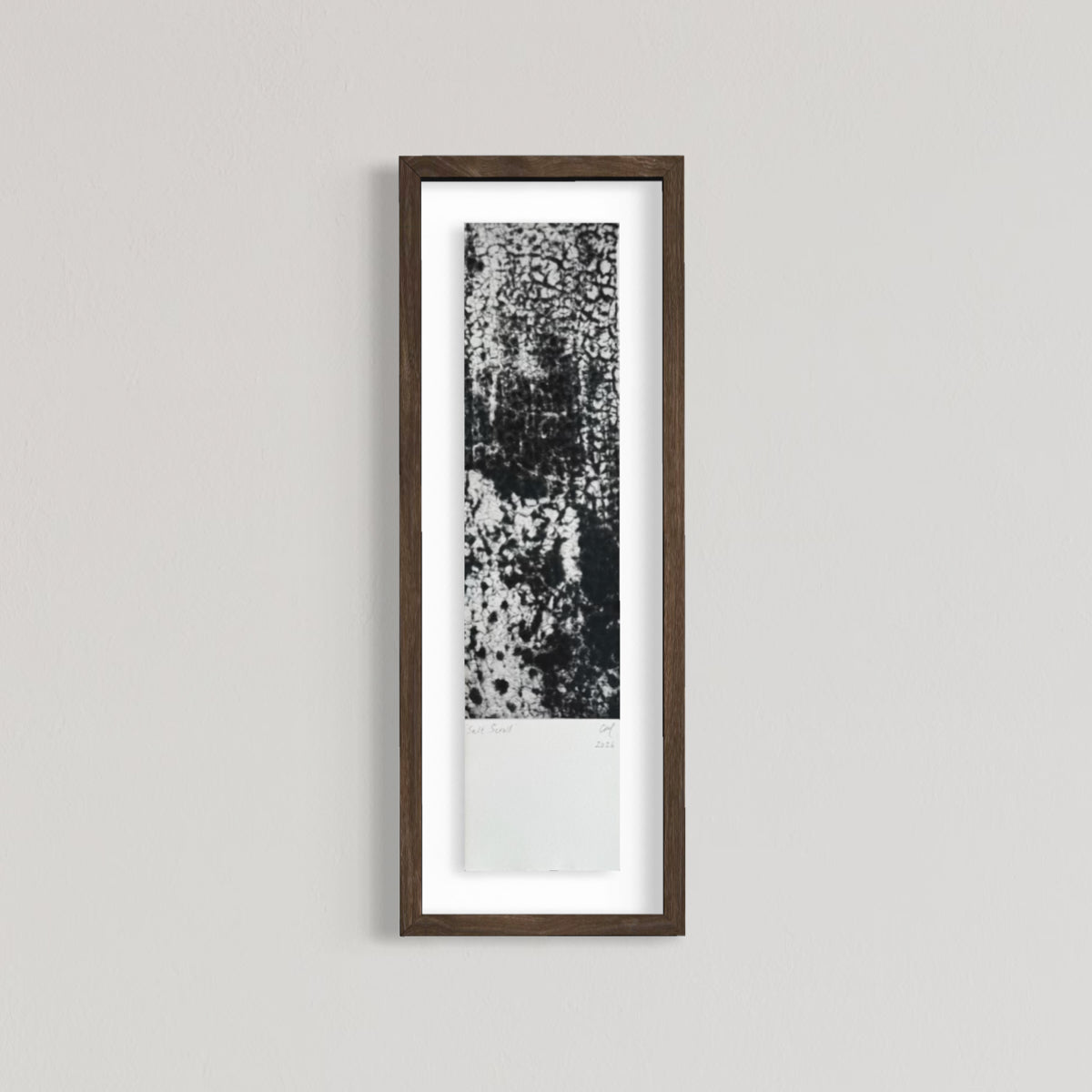 Salt Scroll I