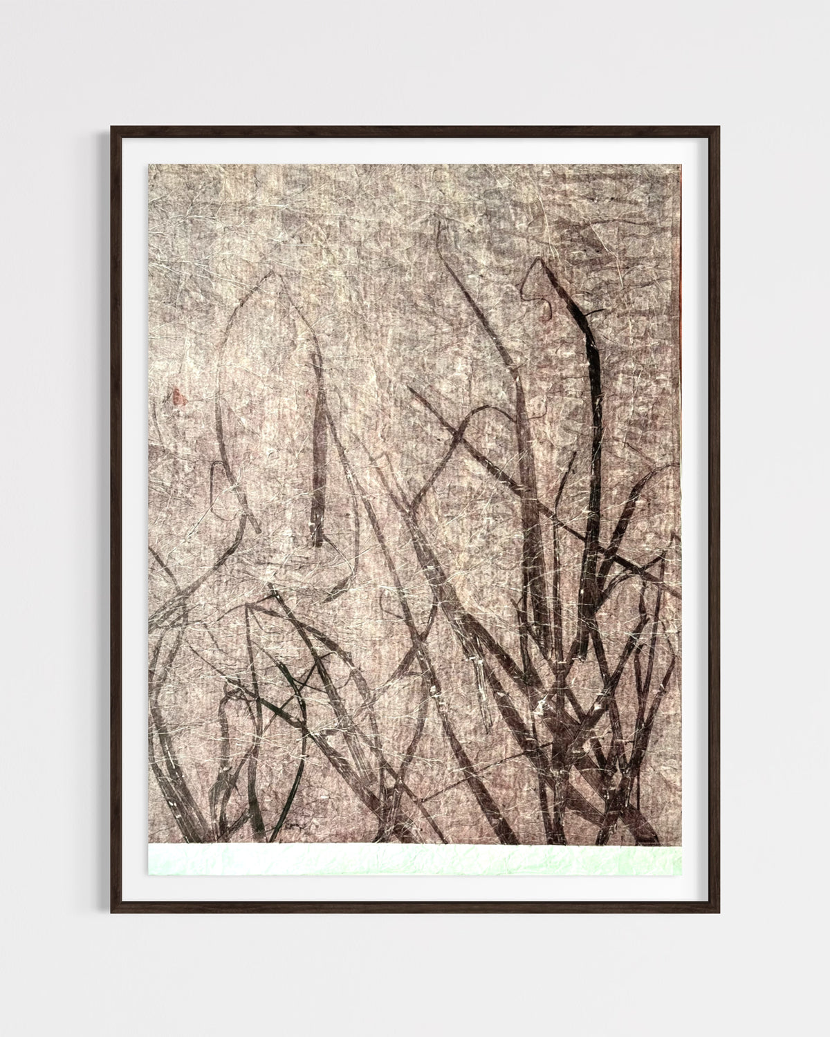 Arundo Donax, Ghost
