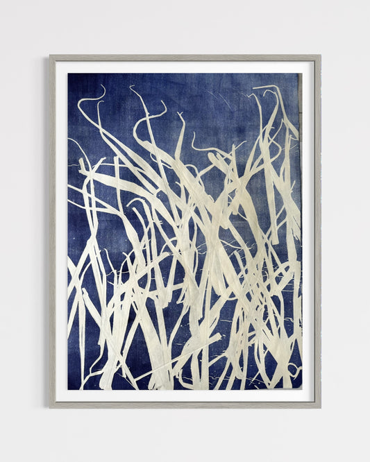 Spanish Bamboo 002