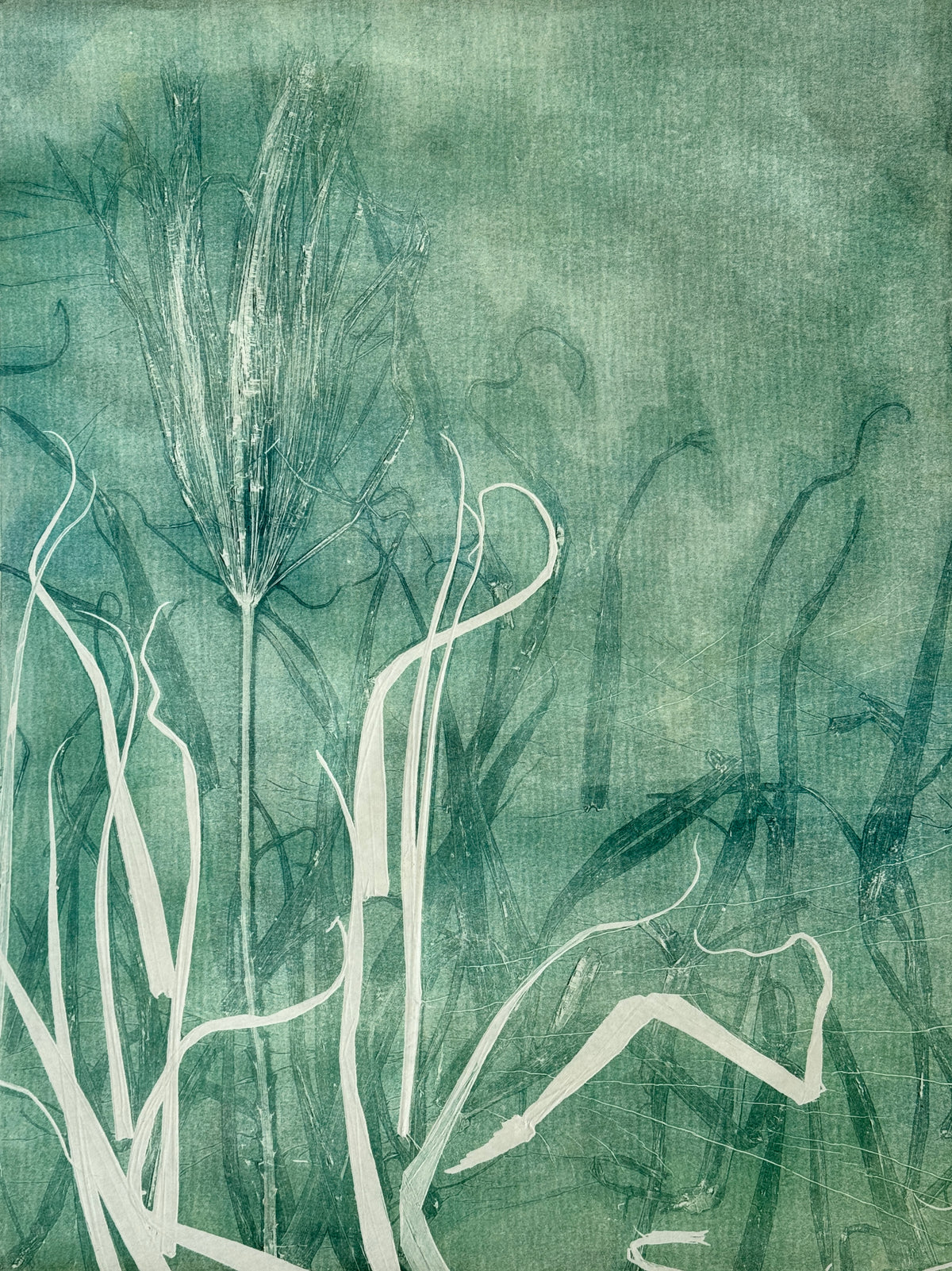 Sea Palm