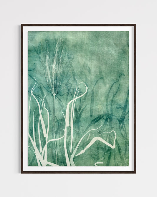 Sea Palm