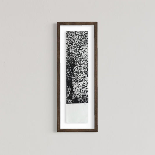 Salt Scroll III